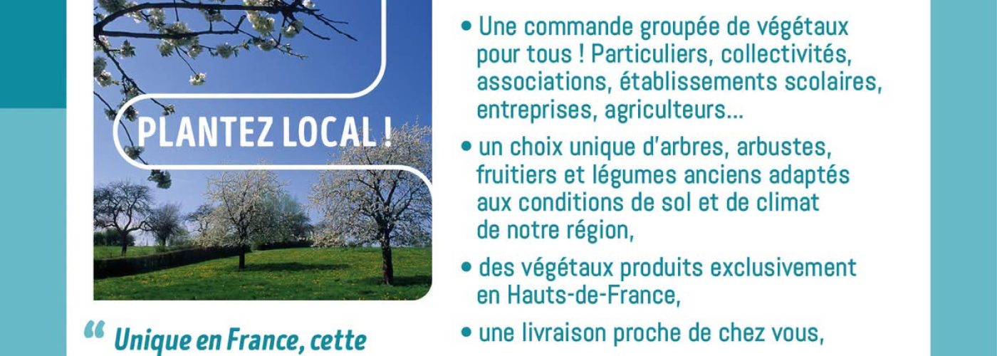 🌳 Plantons le décor : plantez local, cultivez l&rsquo;avenir !