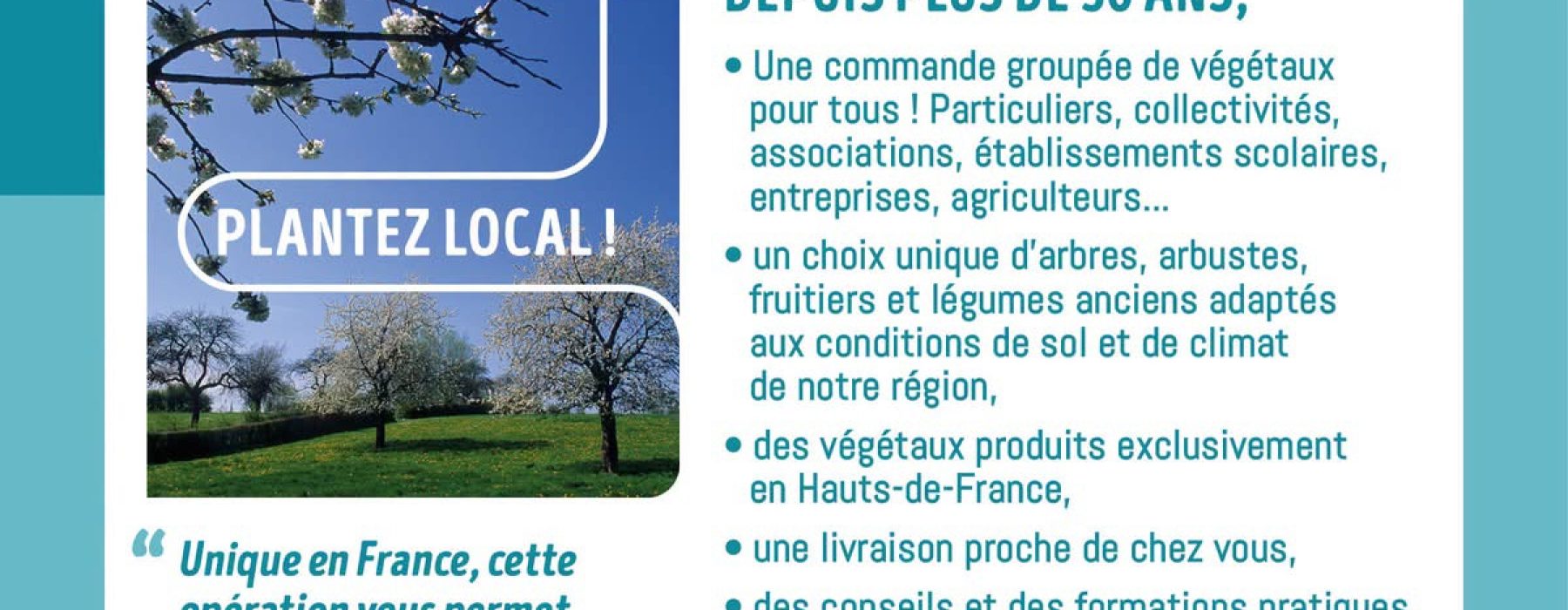 🌳 Plantons le décor : plantez local, cultivez l&rsquo;avenir !