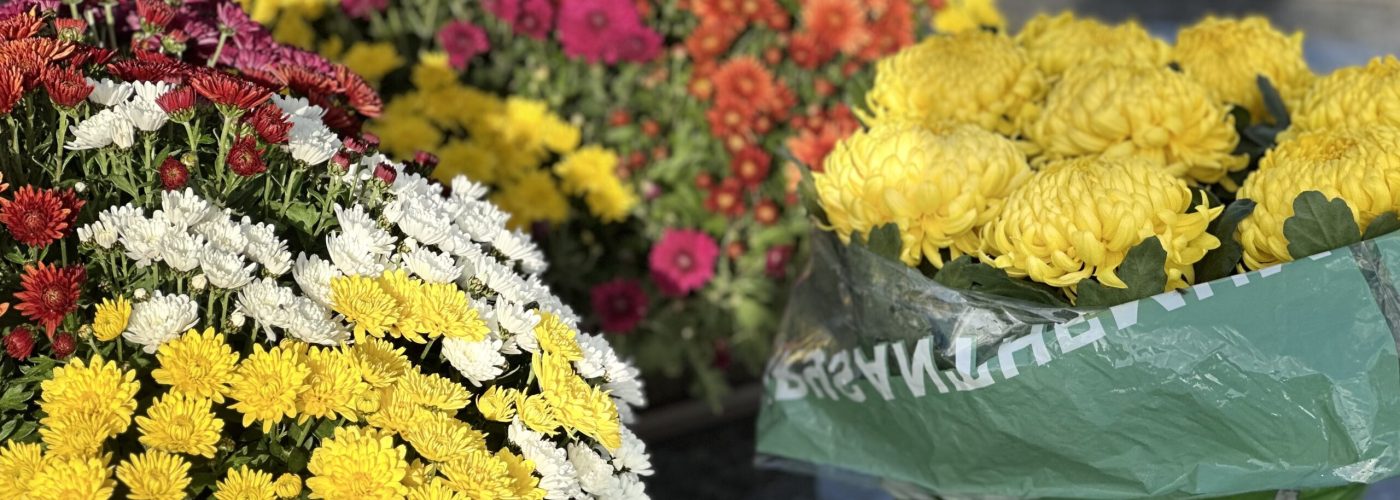 🏵️ De la couleur dans les cimetières