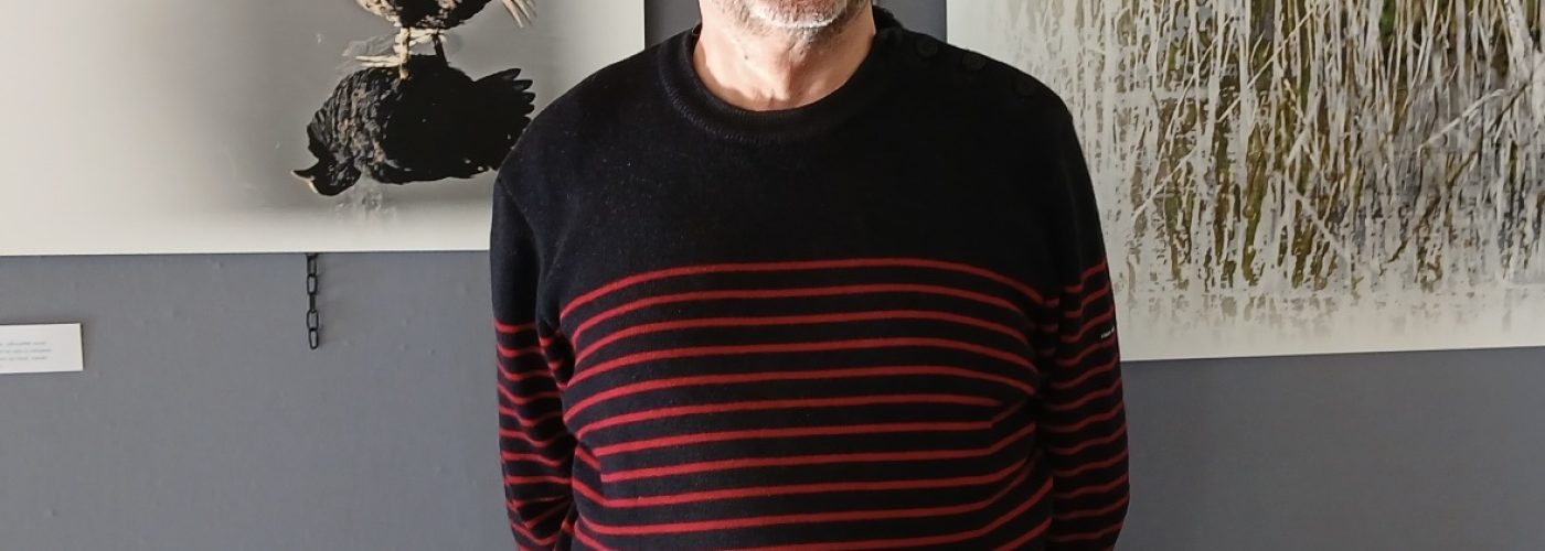 🐦 Découvrez le monde des oiseaux