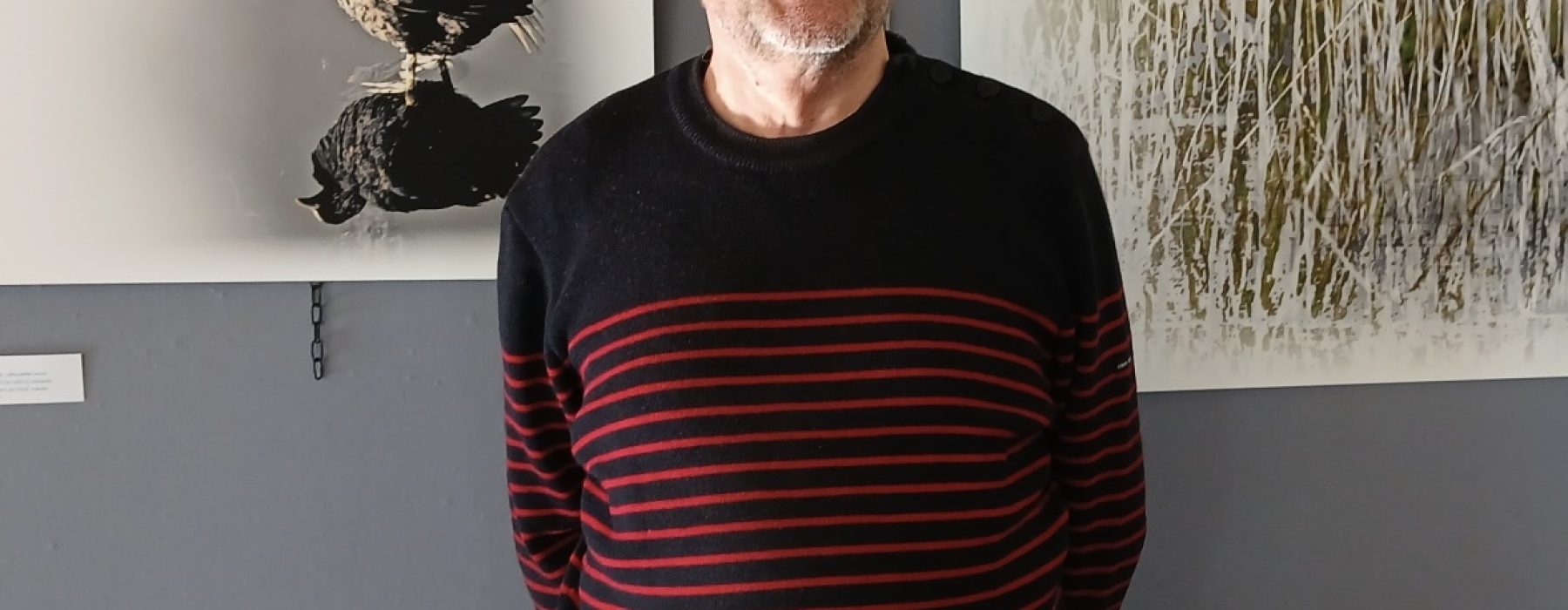 🐦 Découvrez le monde des oiseaux