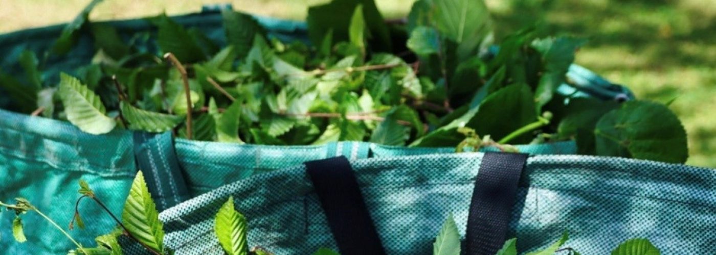 ♻️ Collecte des végétaux