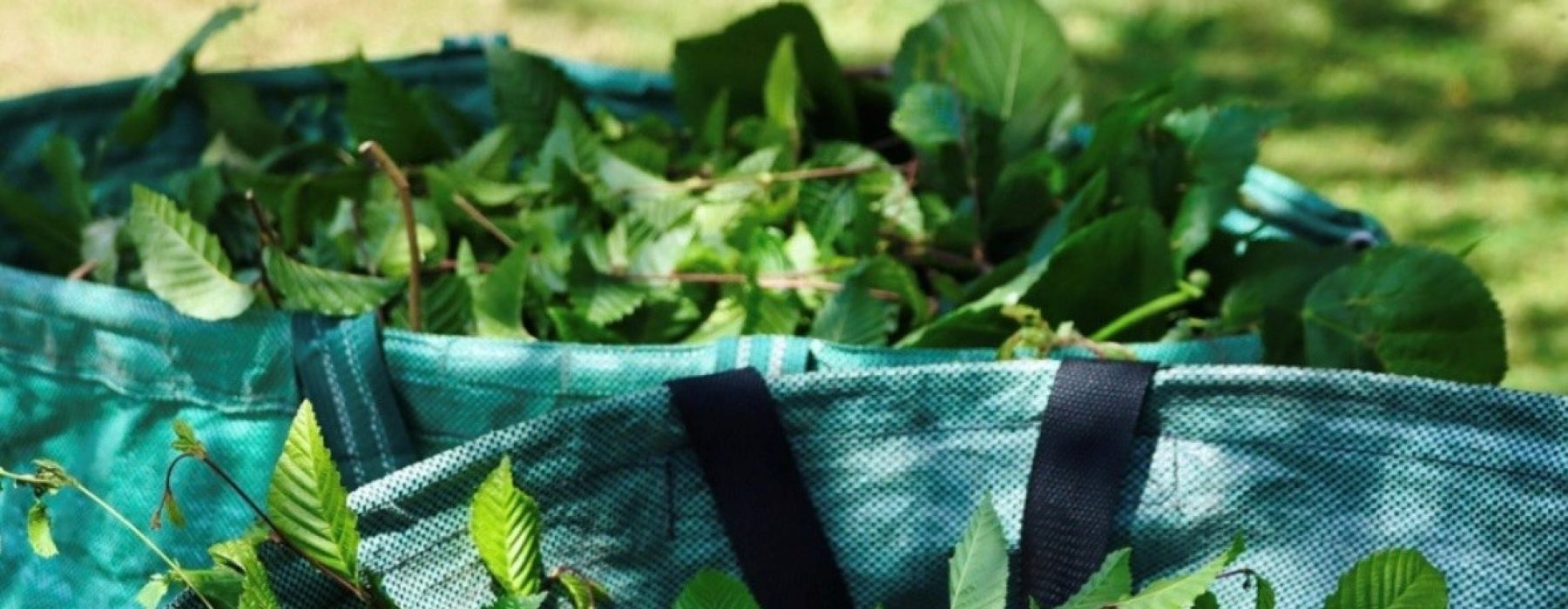 ♻️ Collecte des végétaux